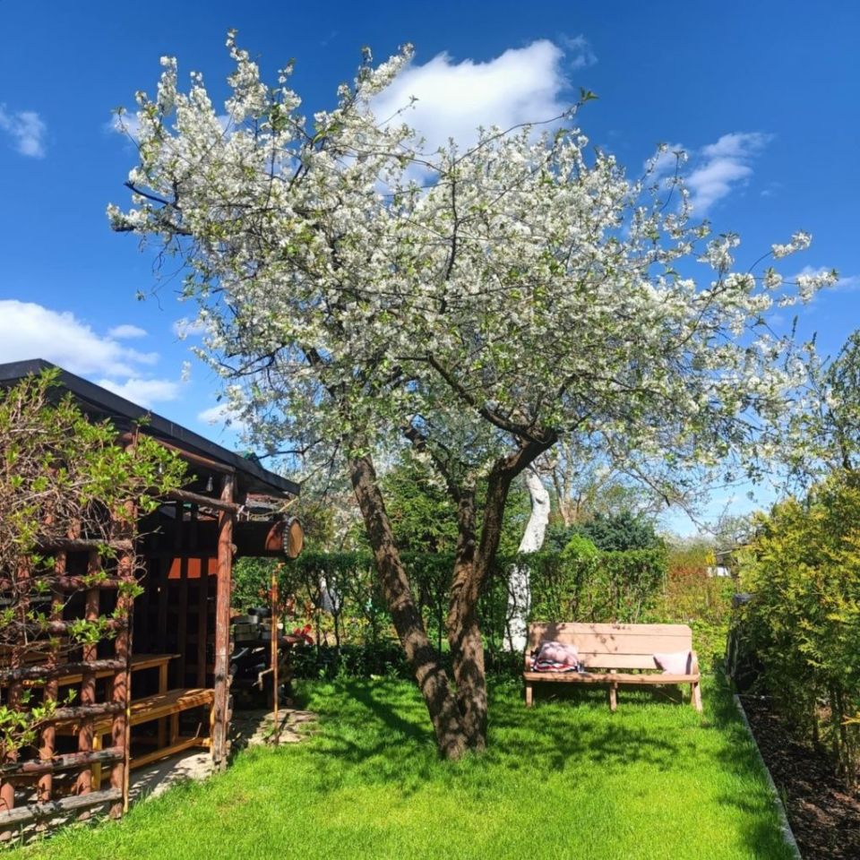 Działka rod Białystok, ul. Adama Mickiewicza. Zdjęcie 6