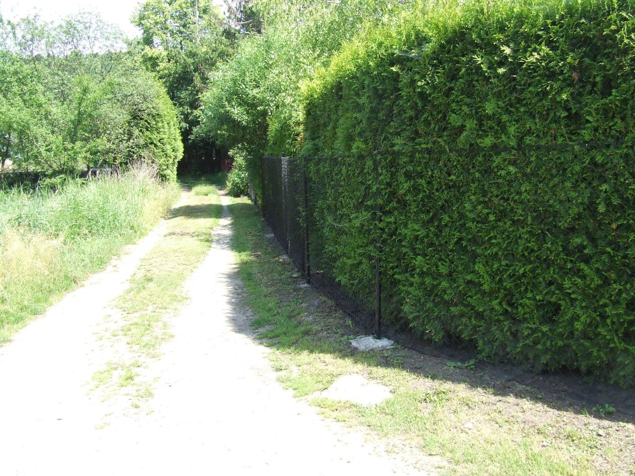 Działka rod Skawina, ULPODGORKI 22. Zdjęcie 6