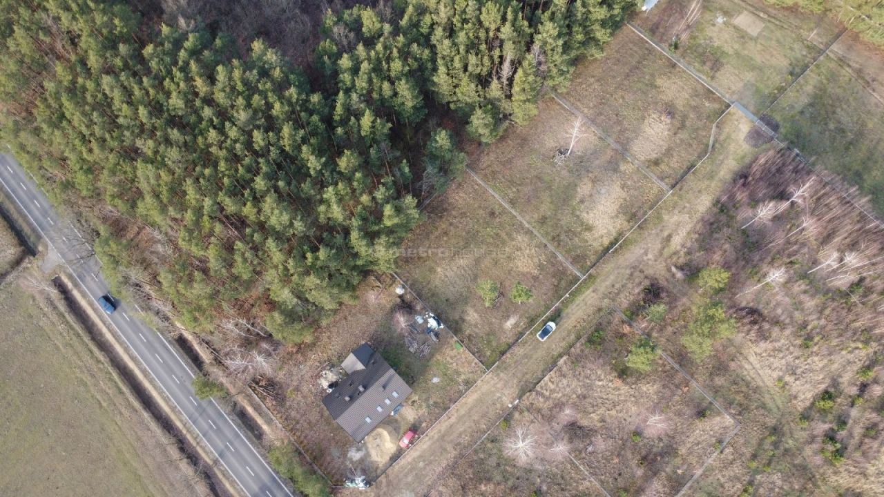 Działka budowlana Zalesie Borowe. Zdjęcie 5