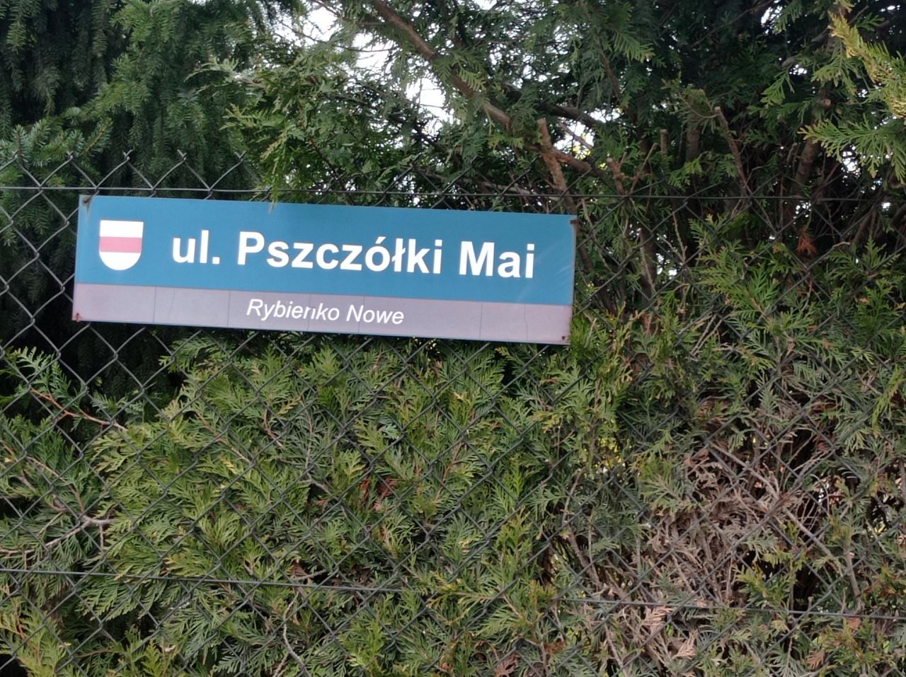 Działka budowlana Rybienko Nowe, ul. Pszczółki Mai. Zdjęcie 6