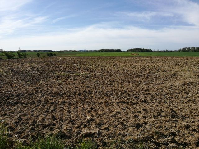 Działka budowlana Strzeżenice. Zdjęcie 1