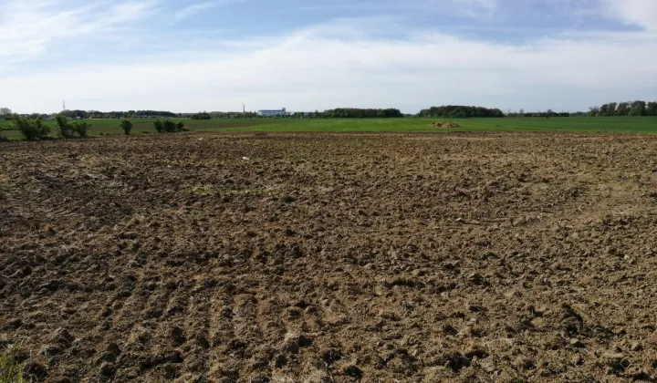 Działka budowlana Strzeżenice