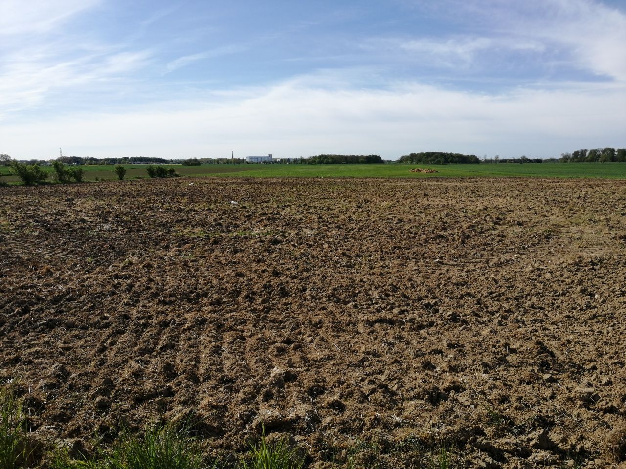 Działka budowlana Strzeżenice. Zdjęcie 1