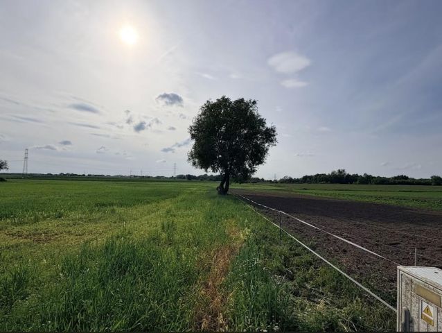 Działka rolno-budowlana Szczecin Skolwin, ul. Nefrytowa. Zdjęcie 1