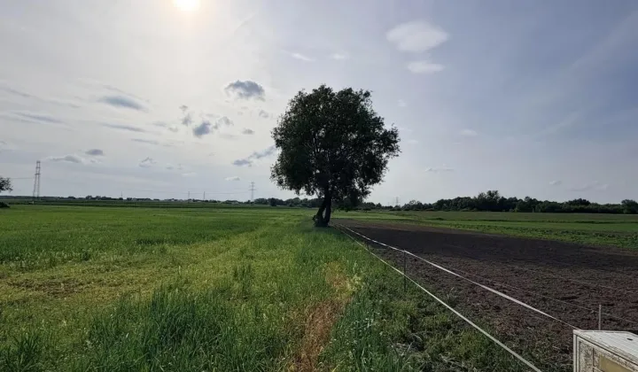 Działka rolno-budowlana Szczecin Skolwin, ul. Nefrytowa