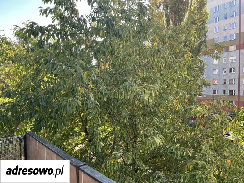 Mieszkanie 3-pokojowe Kraków Podgórze Duchackie, ul. Łużycka. Zdjęcie 4