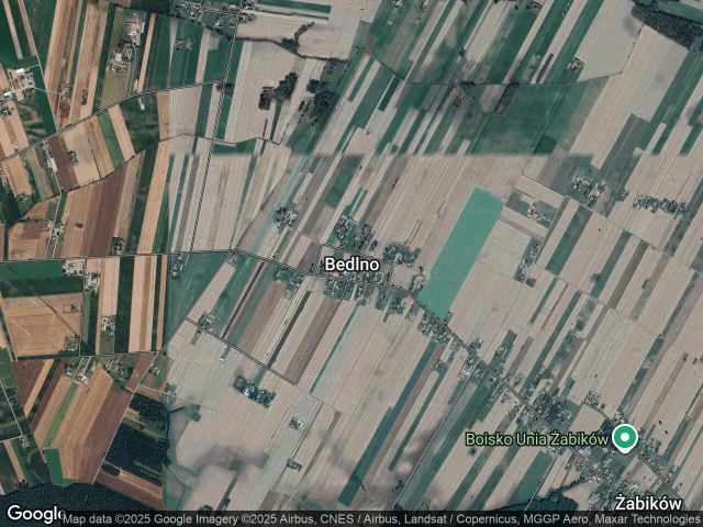 Działka rolno-budowlana Bedlno. Zdjęcie 1