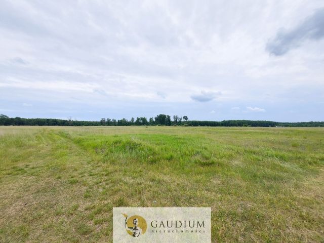 Działka Karszyn. Zdjęcie 15