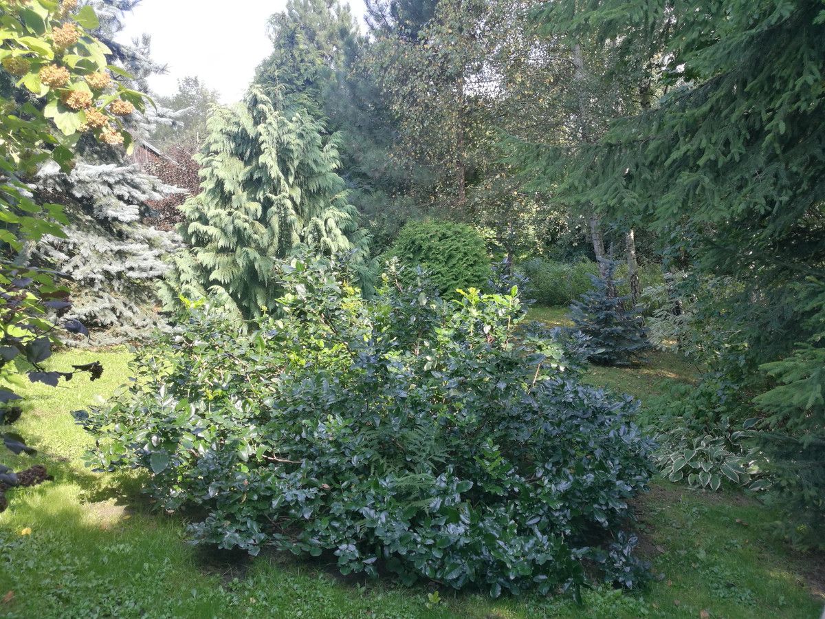 Działka budowlana Lipinki. Zdjęcie 3