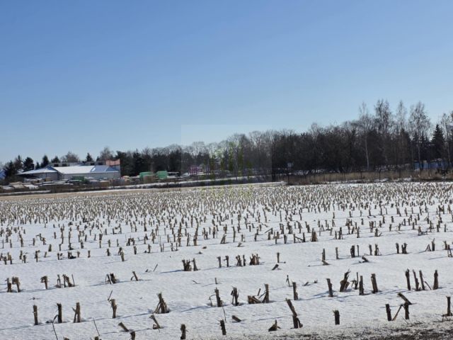 Działka inwestycyjna Błonie, ul. Sochaczewska. Zdjęcie 7