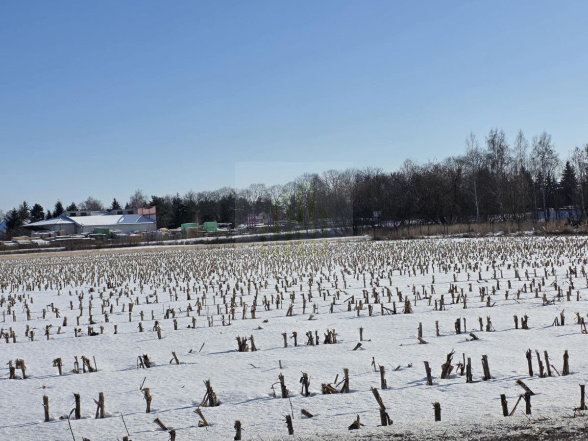 Działka inwestycyjna Błonie, ul. Sochaczewska. Zdjęcie 7