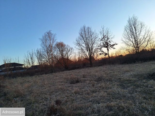 Działka budowlana Rusiec, ul. Koniczyny. Zdjęcie 1
