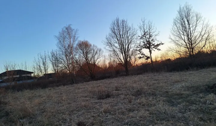 Działka budowlana Rusiec, ul. Koniczyny