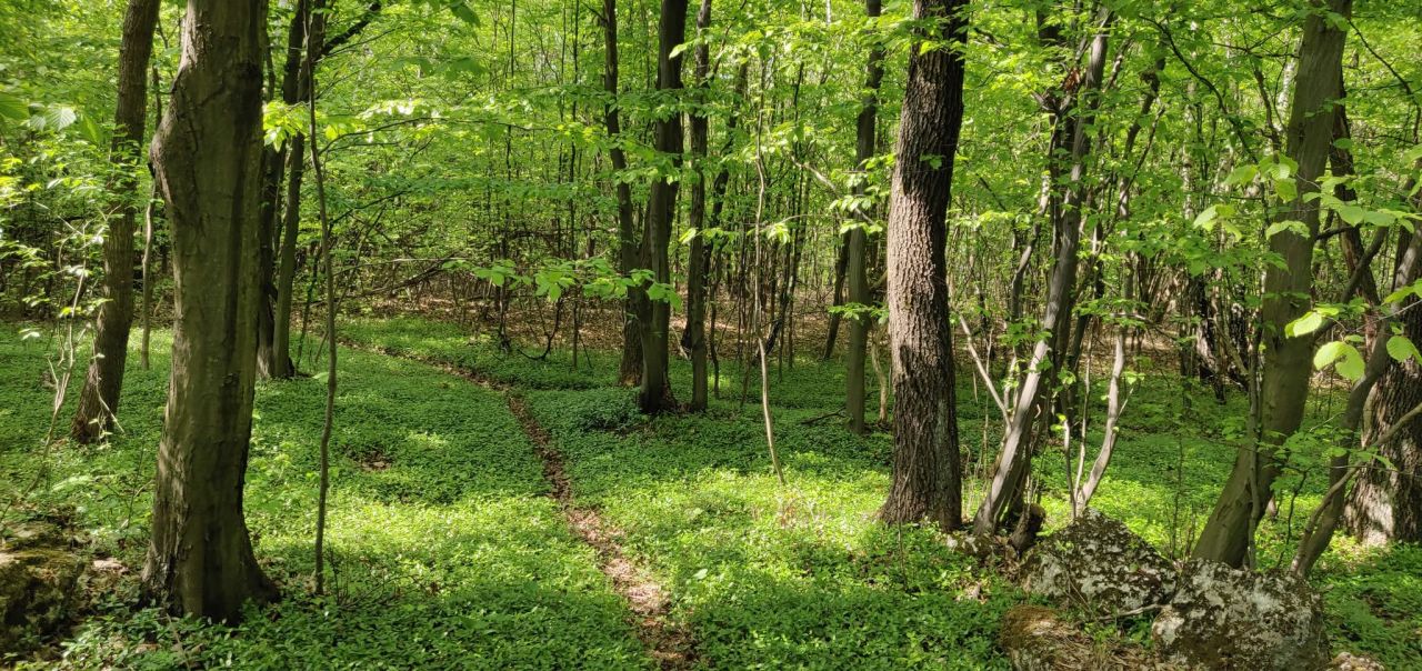 Działka rekreacyjna Łazy Łazy-Jawor. Zdjęcie 5