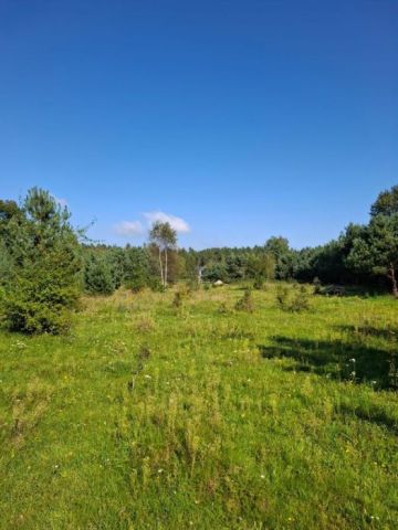 Działka budowlana Bieszkowice, ul. Konny Trakt. Zdjęcie 1