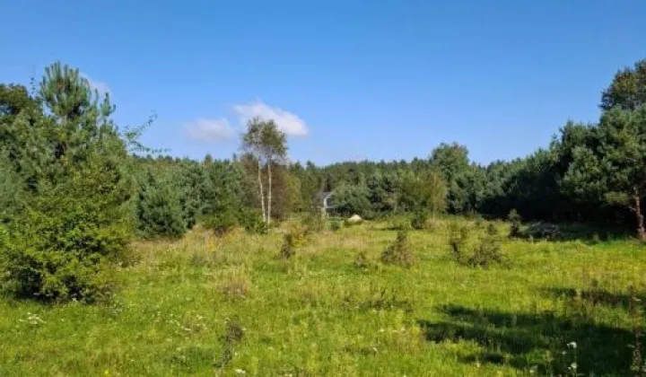 Działka budowlana Bieszkowice, ul. Konny Trakt