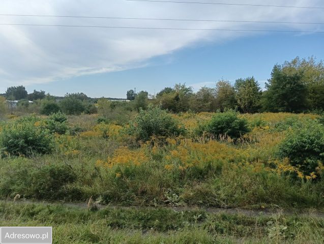 Działka rolna Police. Zdjęcie 1