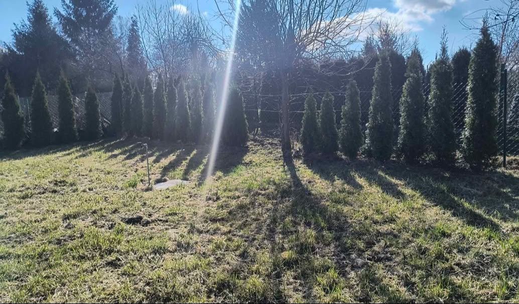 Działka rod Sosnowiec, ul. Stanisława Mikołajczyka. Zdjęcie 5