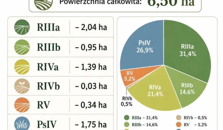 Działka rolna Wępiły