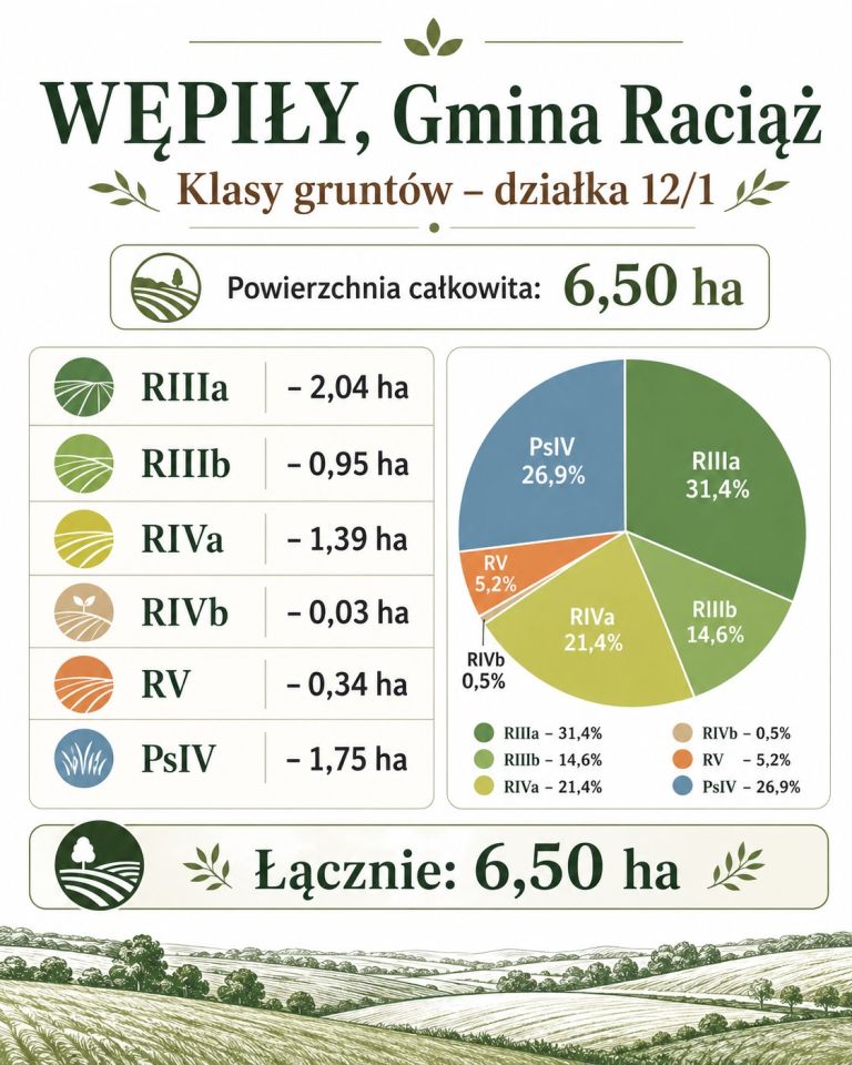Działka rolna Wępiły. Zdjęcie 1