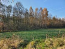 Działka Hartowiec. Zdjęcie 3