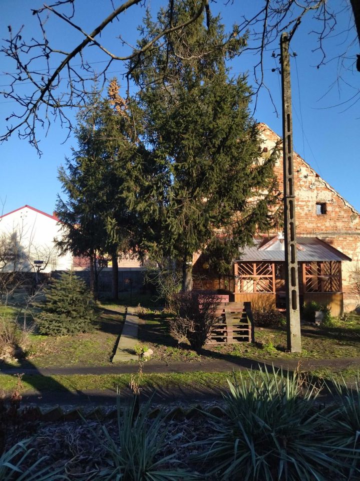 Działka budowlana Oczkowice. Zdjęcie 2