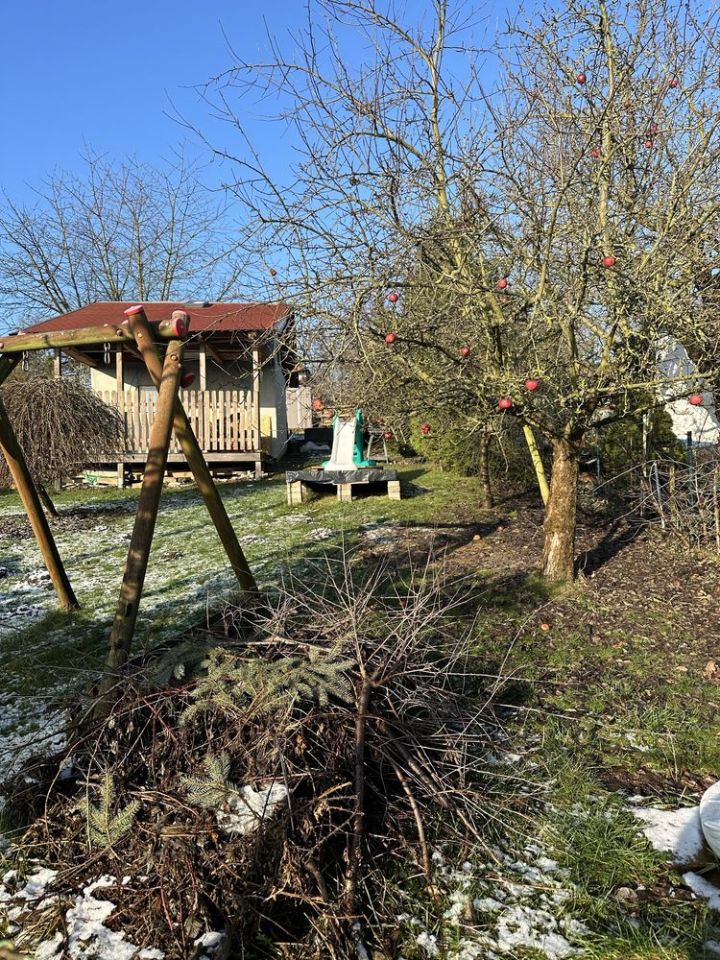 Działka rod Szczecin Centrum, ul. Bogumińska. Zdjęcie 5