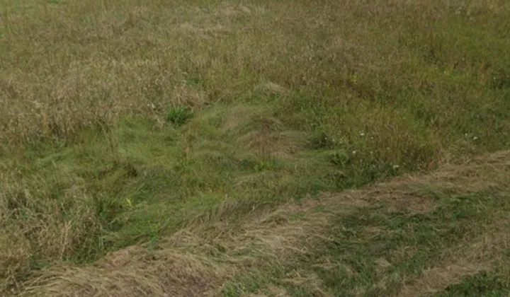 Działka rolno-budowlana Koprzywnica, ul. Czynowa