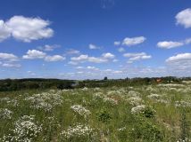 Działka rolna Kleszczyn. Zdjęcie 4