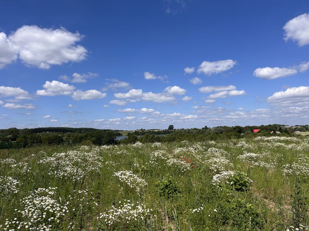 Działka rolna Kleszczyn. Zdjęcie 5