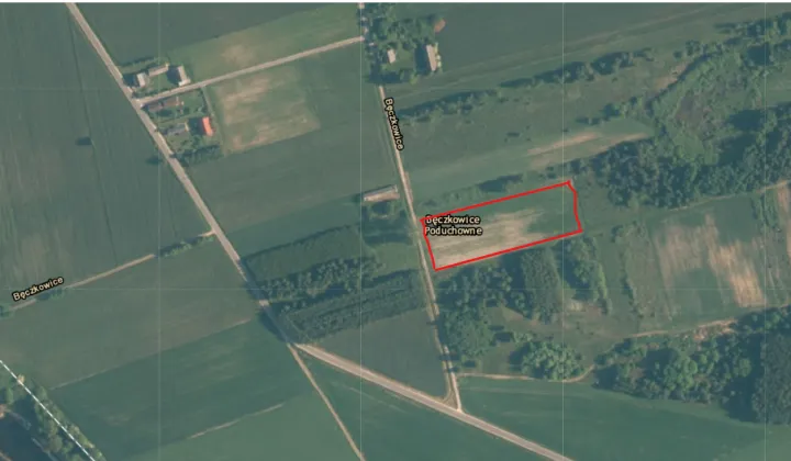 Działka rolno-budowlana Bęczkowice Poduchowne