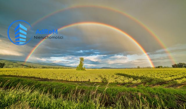 Działka rolna Wierzchlesie. Zdjęcie 3