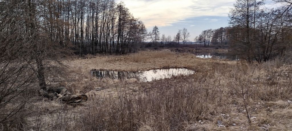 Działka inwestycyjna Śniadków Górny A. Zdjęcie 11