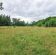 Działka rolna Malinówka. Zdjęcie 5