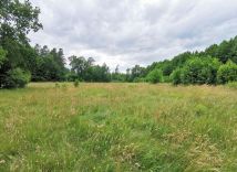 Działka rolna Malinówka. Zdjęcie 4