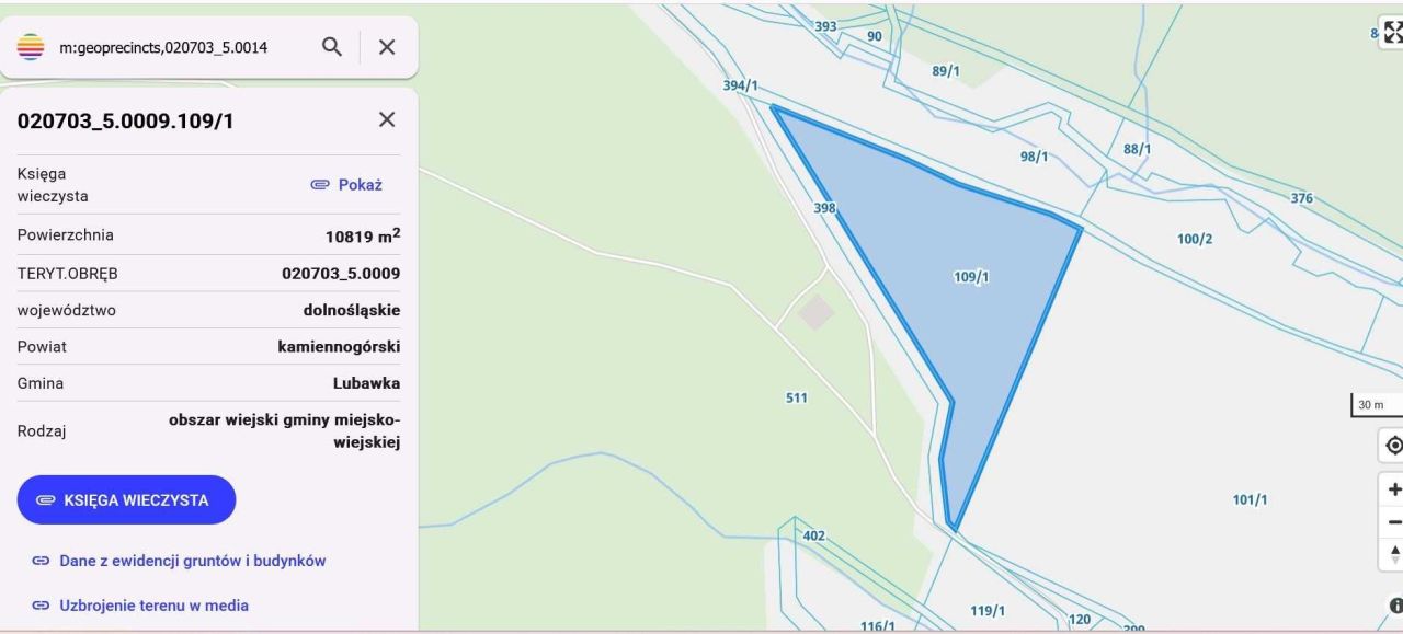 Działka rolna Okrzeszyn