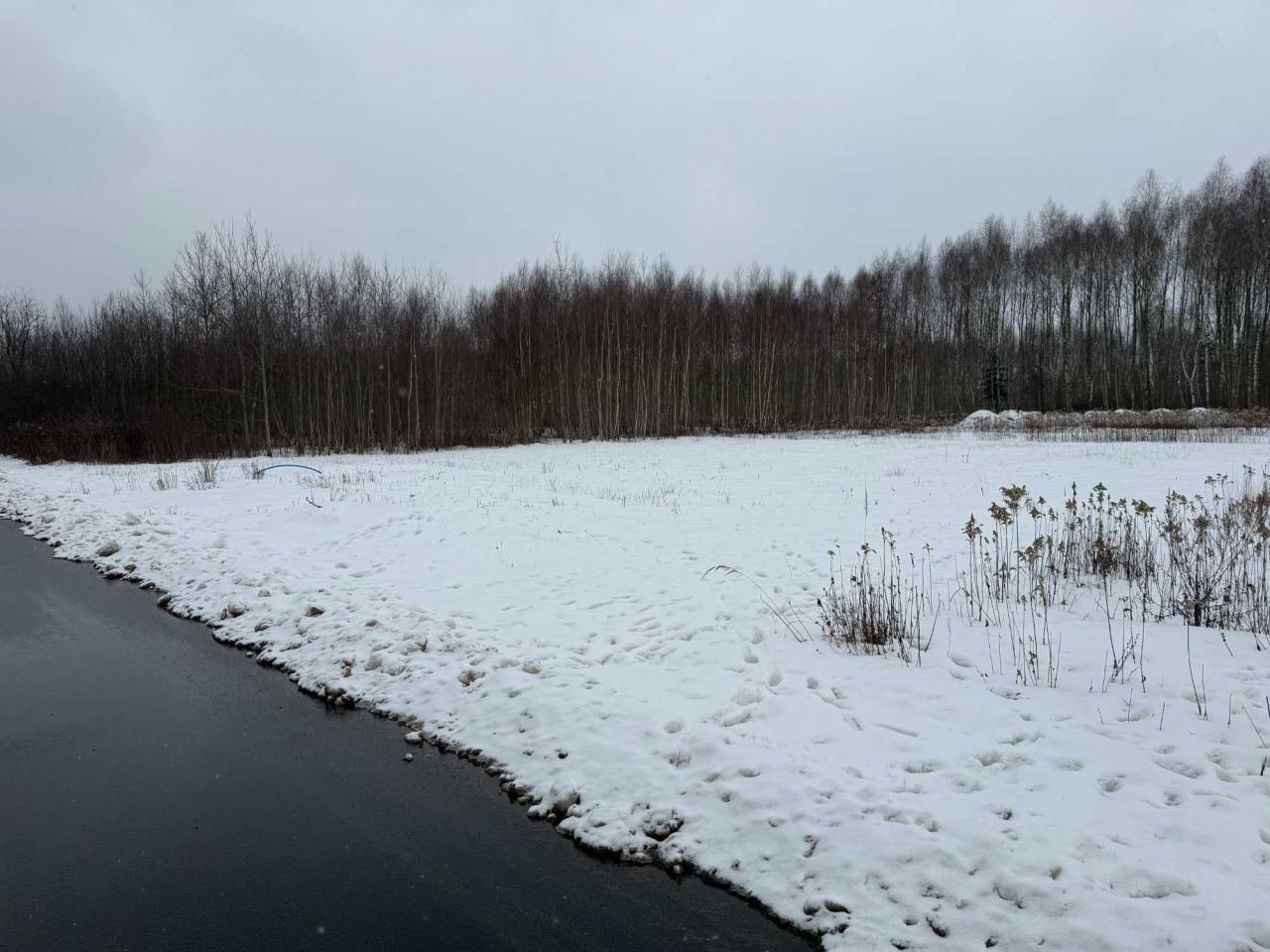 Działka budowlana Olesin, ul. Pałacowa. Zdjęcie 8