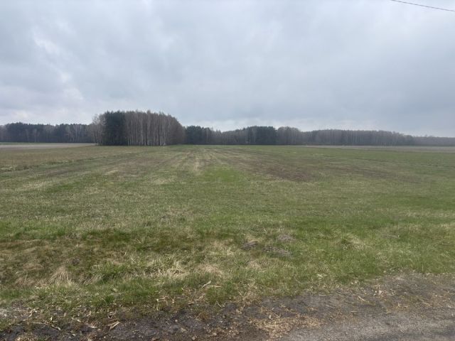 Działka budowlana Adamów. Zdjęcie 1