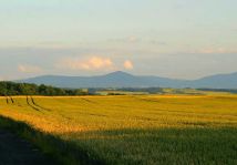 Działka budowlana Złotogłowice. Zdjęcie 1