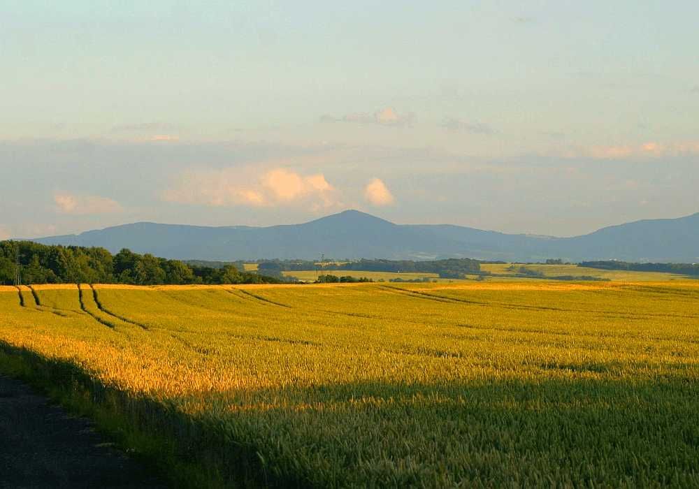 Działka budowlana Złotogłowice. Zdjęcie 2