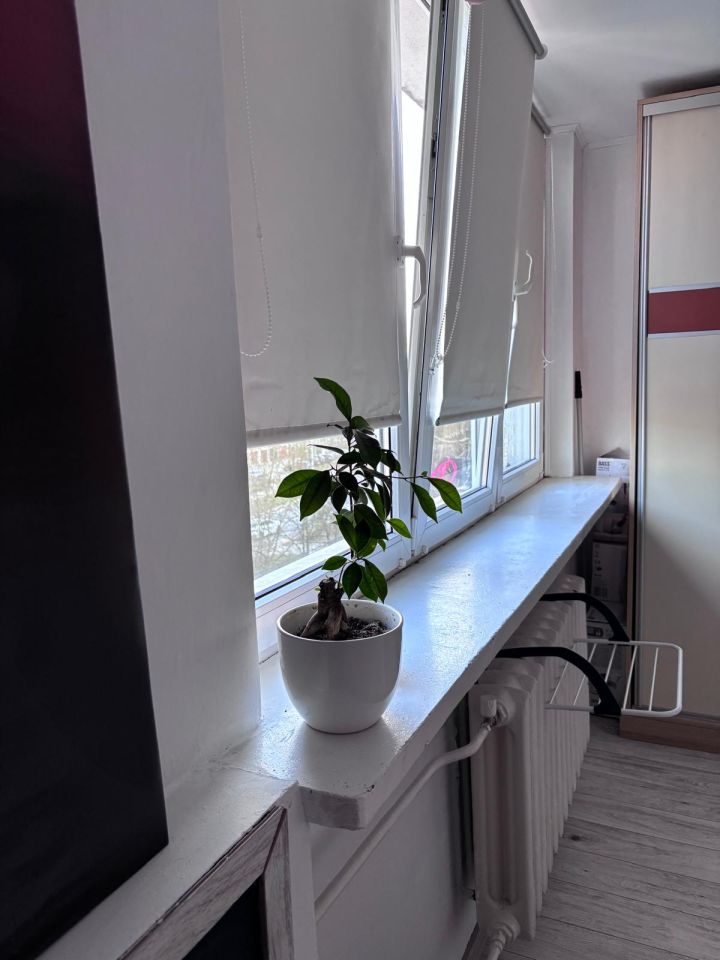 Mieszkanie 2-pokojowe Płock Skarpa, ul. Juliusza Słowackiego. Zdjęcie 14