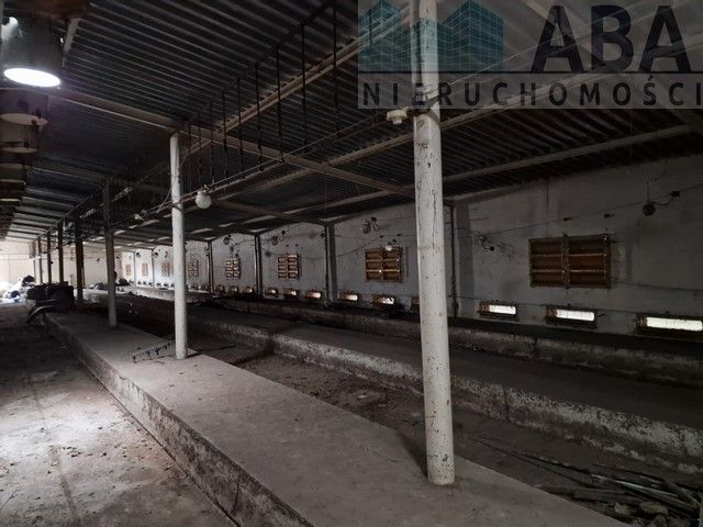 Hala/magazyn Brzeźno, ul. Sienna. Zdjęcie 10