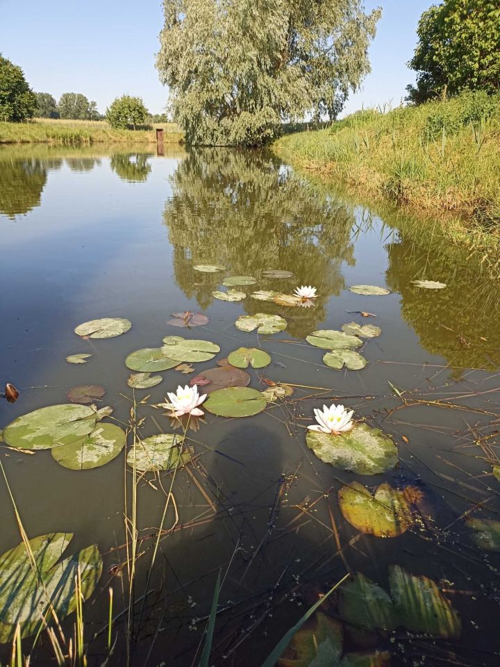 Działka rolna Karnków. Zdjęcie 3
