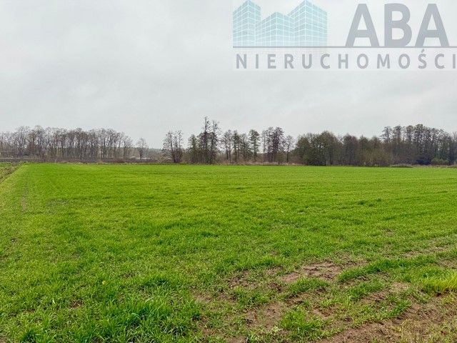Działka inwestycyjna Wacławów. Zdjęcie 6