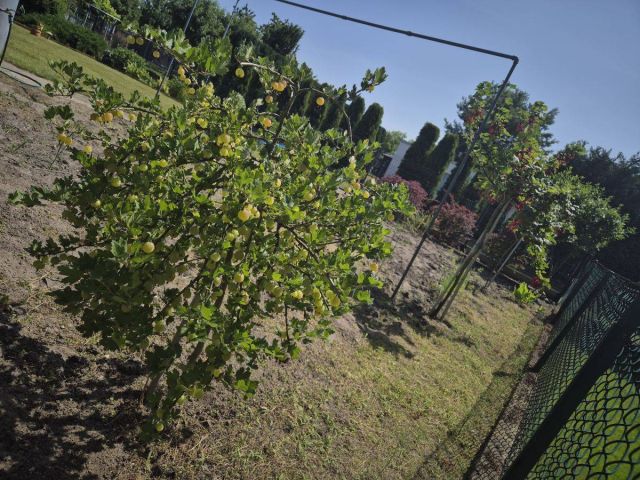 Działka rolna Poznań Nowe Miasto, ul. Jarosławska. Zdjęcie 4