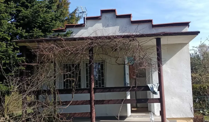Działka rekreacyjna Łódź, ul. Przylesie