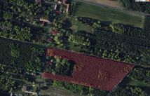 Działka leśna Bukowa. Zdjęcie 1