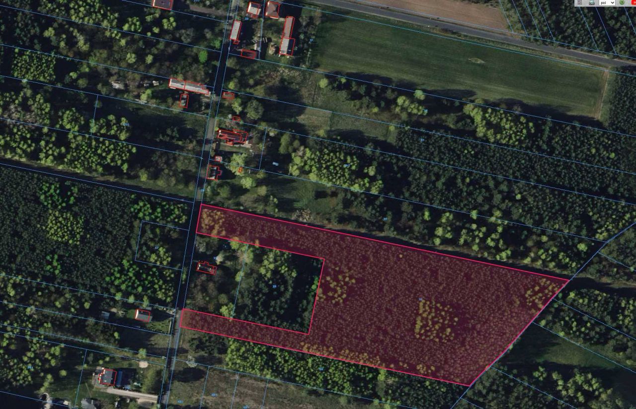 Działka leśna Bukowa. Zdjęcie 2