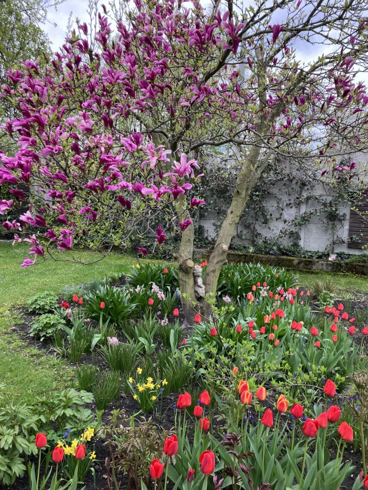 Działka rod Katowice Brynów, ul. Porfirowa. Zdjęcie 14