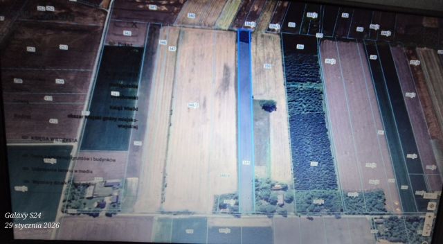 Działka rolna Książ Mały-Kolonia. Zdjęcie 1